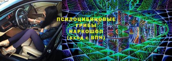 твердый Аркадак